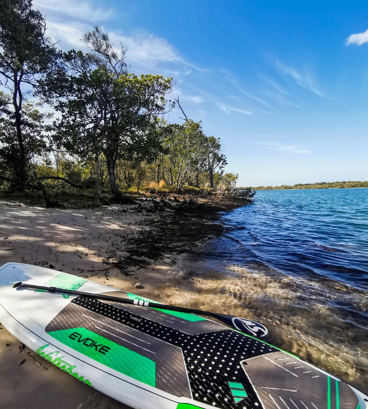 Maroochy River Canoe Trail Goat Island Adventure Sunshine Coast